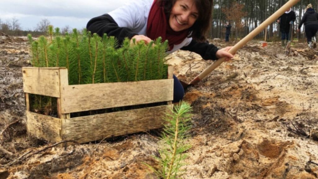 woman planting trees as eco-friendly gifts for the gifted tree company
