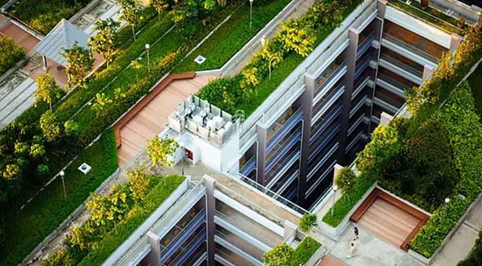Creating Sustainable Spaces: A Look at Eco-Conscious Construction