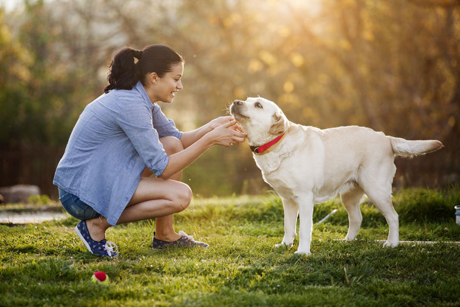 Happy Tails Start at Home