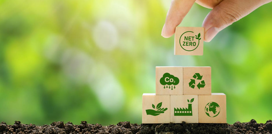 Smart and Sustainable: Eco-Friendly Ways to Run Your Franchise