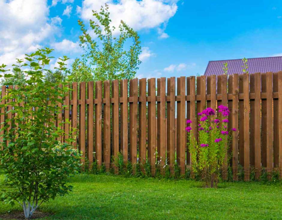 What's The Environmental Impact Of Choosing A Wooden Fence?