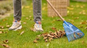 Protect Your Property: How Power Raking and Skunk Removal Keep Your Yard Clean and Safe